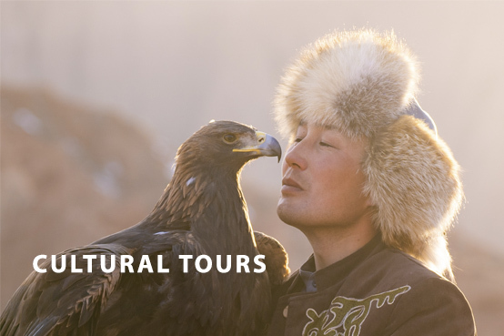 Cultural Tours