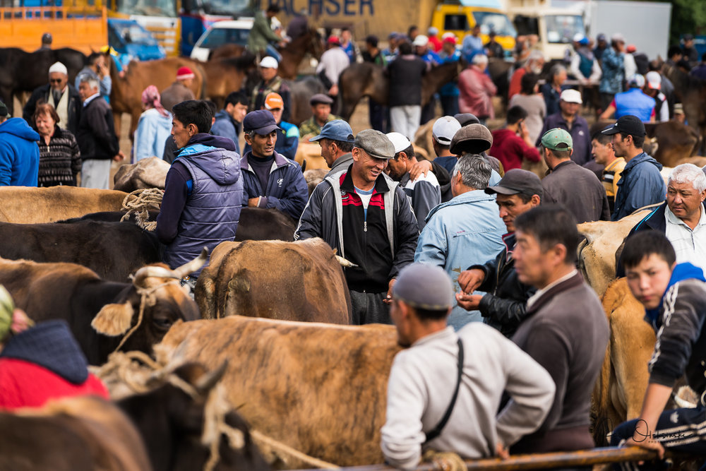 Animal market in Karakol 